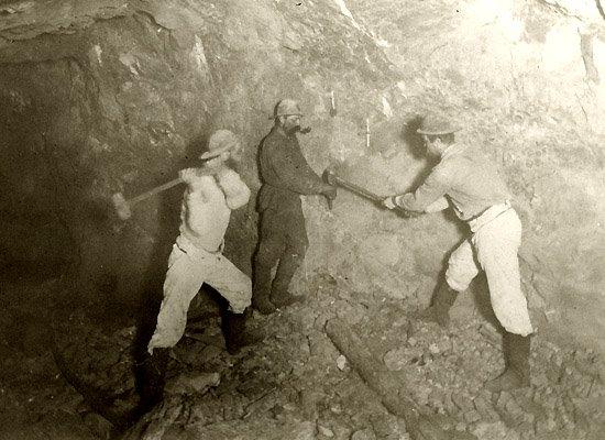 12717324 555855371244165 3586414514353591742 n