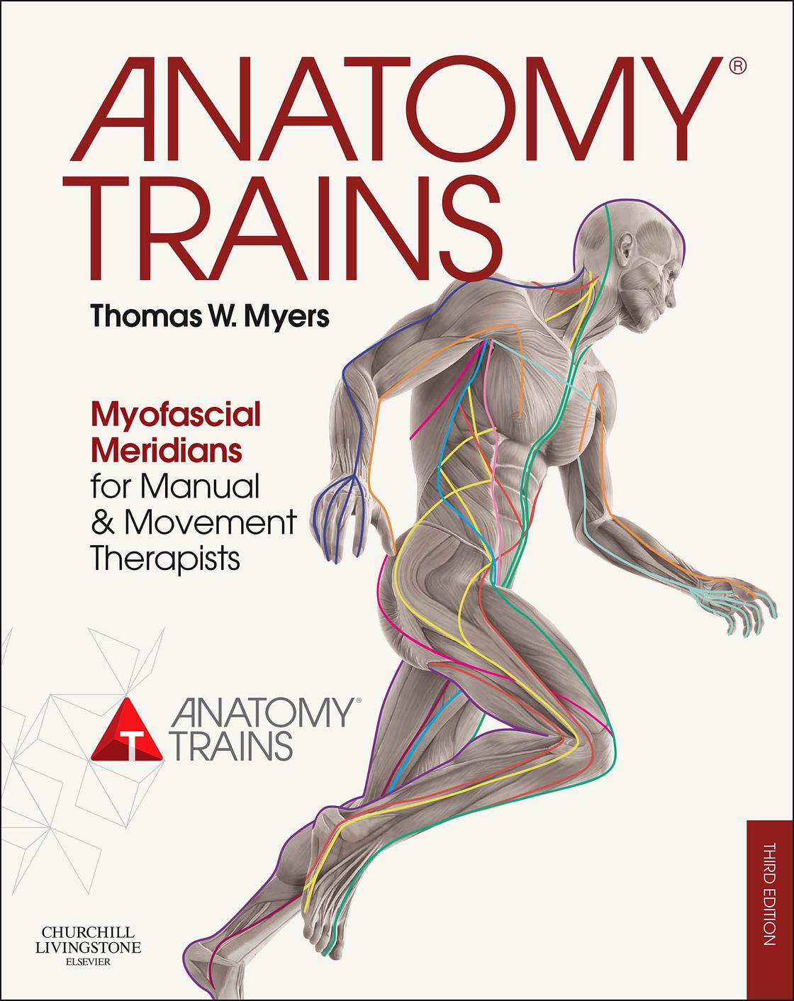 anatomy trains